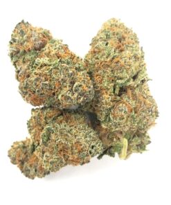 Gelato #41
