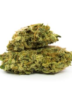 Hindu Kush
