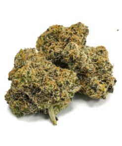 Northern Lights