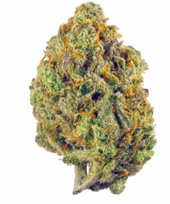 White Poison