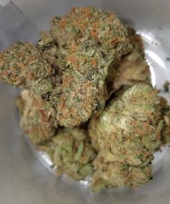 Sunset Sherbet