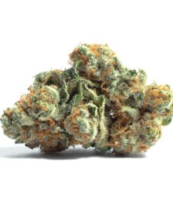 Cherry Punch